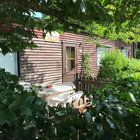 Campsite Le Chalet De La Roche En Ardenne Theux